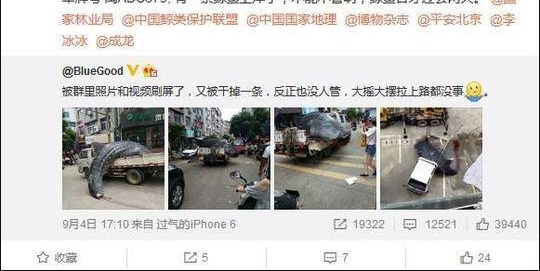 ���豻������ɱ���� �ٷ�:�ӷ����̾�