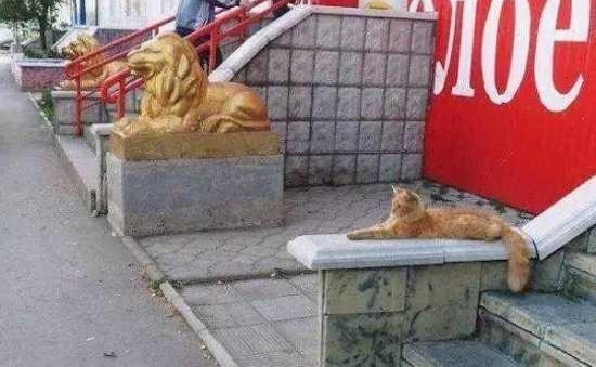 ս���������Ƭ�������������ҵ����㣡