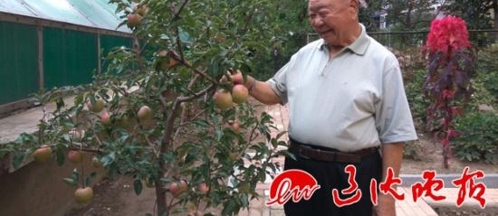 10�껨10����Ԫ����԰����Ѯ�����������β���
