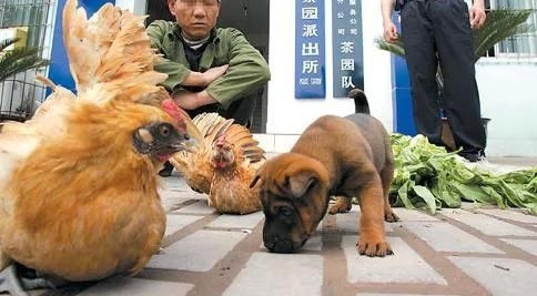 在乡下女子千万不要去接触这些事情,让人想不到能羞愧一辈子