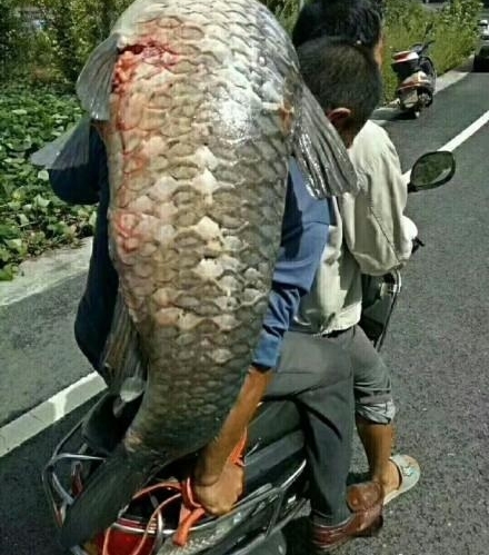 ���й�� �����50������