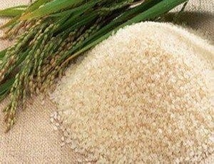 ��ƾʲô�ܽ������л����Ҳ��ܣ���ũ��С�����л��ף������ɵ��