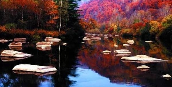 �ذ�������ʾ����������ú�������2�У��쿴���������