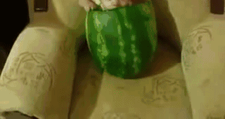 ����10��СЦ������֤���������Ц��