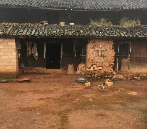 奶奶你把我妈都气晕倒了,你还想怎样