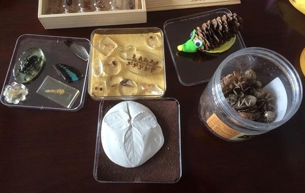 ���ſں�ѧУ | �˴�����У��������У��һ�š�ʱ�֡��α�