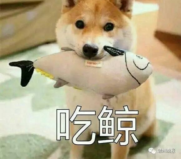 打医生,砸救护车!赣州一120深夜出诊反被病人打!