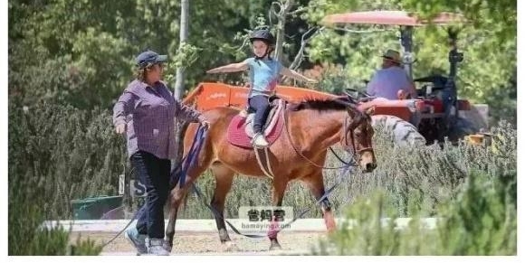 СߵͯҲ˺ķѹեˡ6سϣ