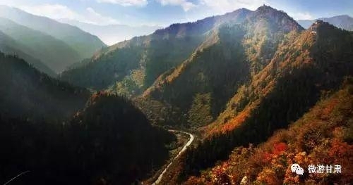�ȴ���98���������·����ͨ����������Щ��������Ҫ�����ˣ�
