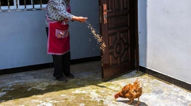 ��ս������̱����ʮ�� �����벻��Ϊ������һ����