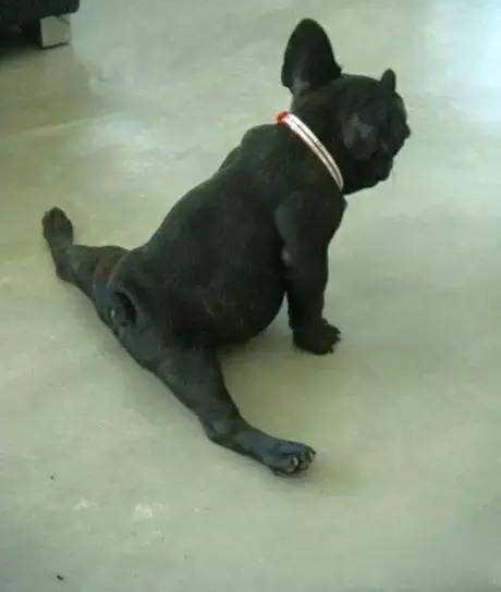 ����10��СЦ������֤���������Ц��