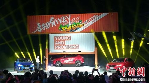 ��ȫ�ȶ���ָ������ WEYƷ��VV5s��ʽ����