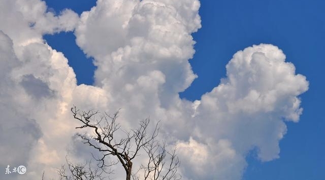 δ����������ϻ���ʲô������