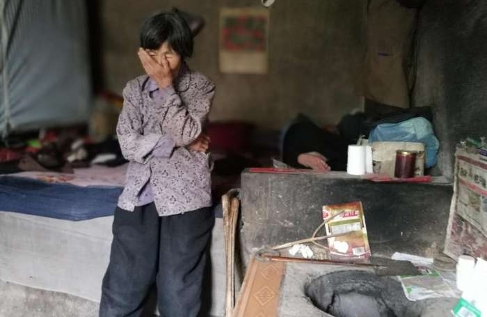 老夫妇沙漠开荒80亩 却是这样的结局