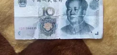 �������ѣ�С��ֽ�Ҳ����� �Ϸ����Լٻ���
