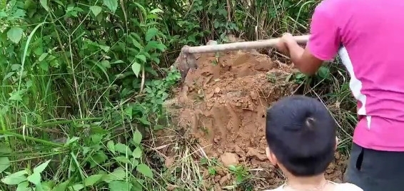 农村大哥发现奇怪小土堆,挖开一看,竟是高价难寻的野味