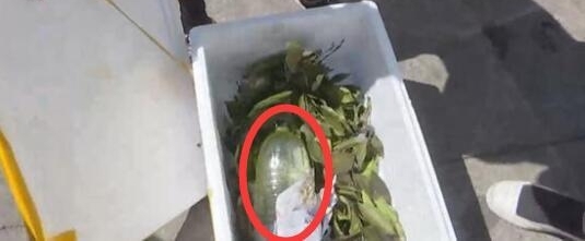 早安山东丨山东发布大雾黄色预警,这些地区能见度不足200米
