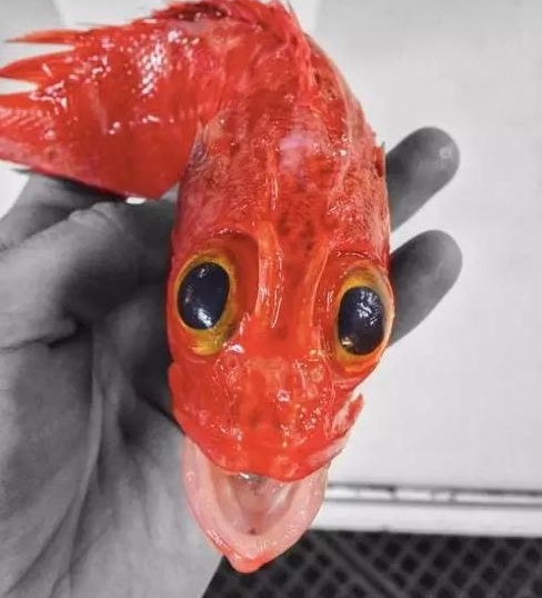 �����Щ���⶯�� ���кܶ඼�ǵ�һ�μ�
