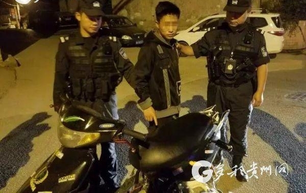 ��ʵ�桰��è������ �������ҹ���ץ��һ��͵��Ħ�г�������