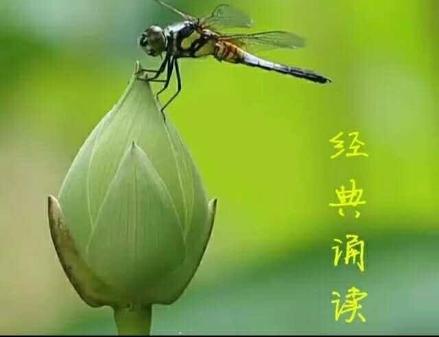 �����续���ж���裡����Ұ���ϡ������ж�����Բ����Ļ