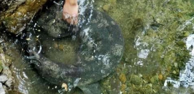 ������Ұ��ץ������������ȴ����˵���˾�Ҫ�װ෿��