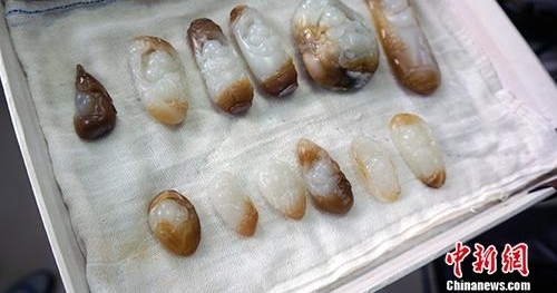 非遗传承人推动玉雕进校园:年轻手艺人要耐得住寂寞
