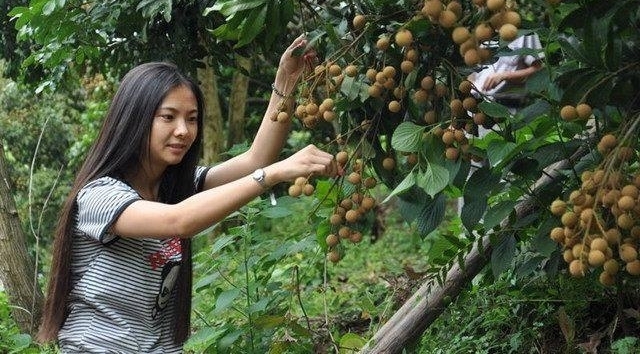 农民大哥种植它,10元3斤,年入上十万,北方人却只能看着