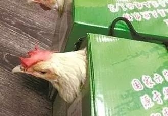 中秋福利神级单位和你的单位,说多了都是泪