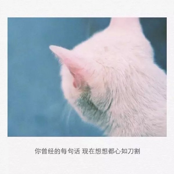 ˵ÿ仰붼絶
