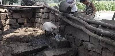 现在的农村再也回不到从前了