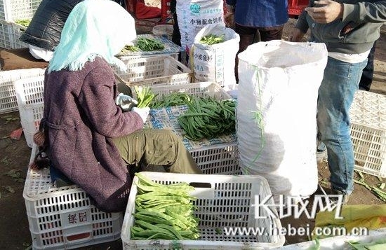 �ųи���Ϊ�ܶ����ʿ���һ��ͨ��
