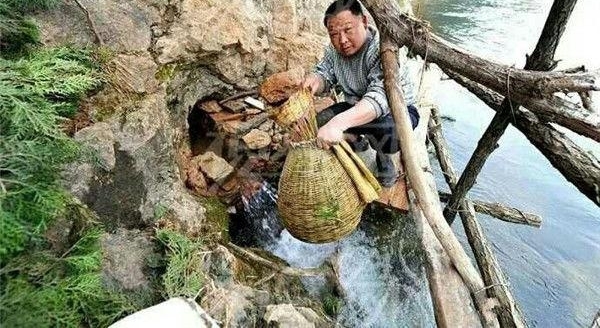 山里的小洞口一年流千斤鱼,但只在清明节流出,专家称这鱼是稀有