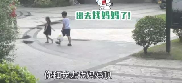 ���ģ�С�����İ������ ���ܻ�ƭ�����С��