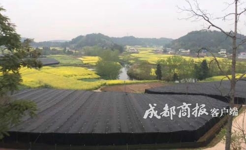 �Ĵ����������ߣ��п�Ժ��ʿ�������׷����ϼ��Ƴ��ɼ���