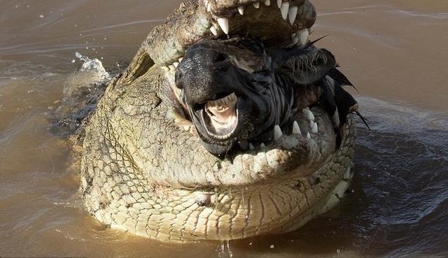 ��ͷ��¼�µĶ���������һ˲�䣬������Ȼ���ڵ����﷨��