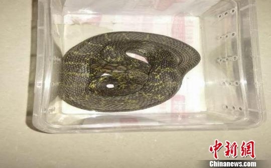 �����ٲ�һ��������Ȧ���۹��ұ������ﱻ���