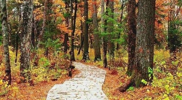 �ذ�������ʾ����������ú�������2�У��쿴���������