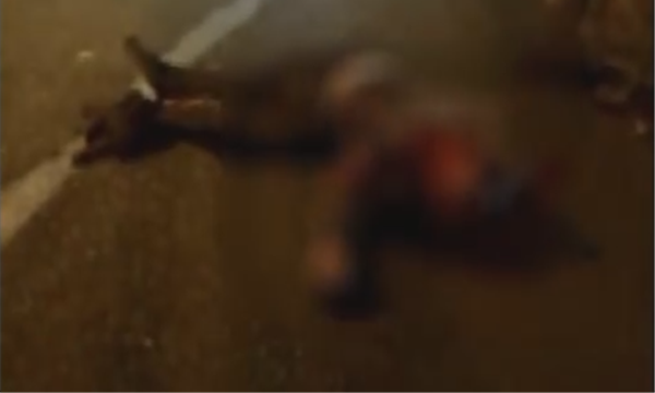 ��������·�м�ϵЬ�� ����ݻ���ײ�ɵ�������