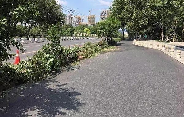 ���纼��һ��������ײ�ϵ��߸ˣ��������ˣ�˾����������