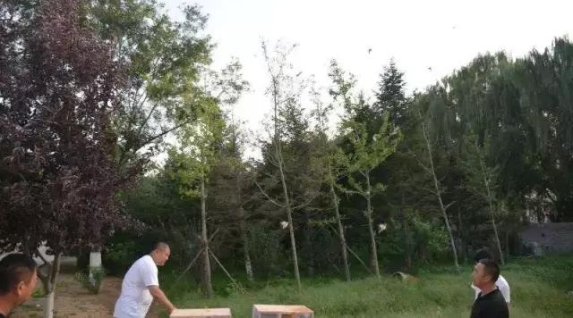 ���������ƴ󰸣����1000����������