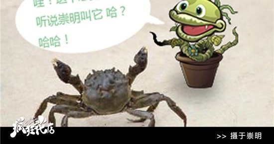 򡱵½ħ ־硶񻨵꡷ܿƱ