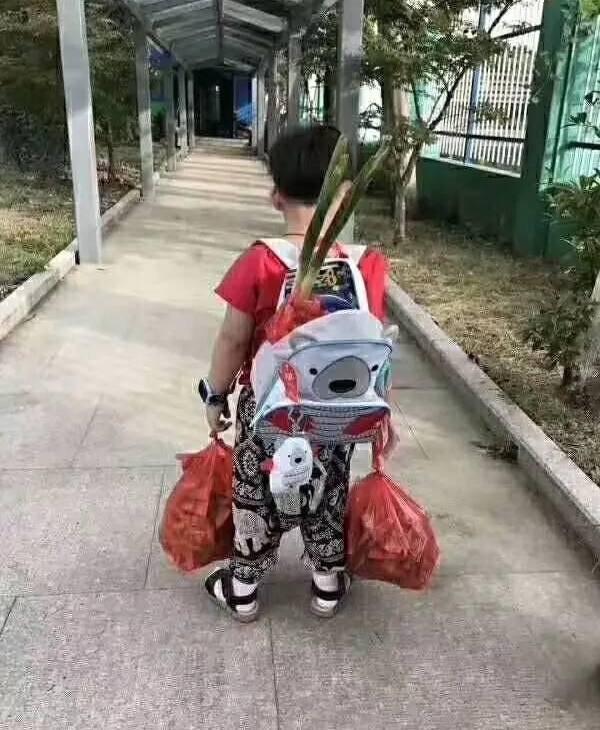 ��ѧ���գ����С�к������С�ȥ��ѧ����