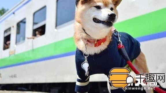 �ô��ȣ���Ȯ���Ʒ�ֵ����������