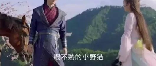 Ӷ¾磬ŮţΪʲôtvbԱôƴ