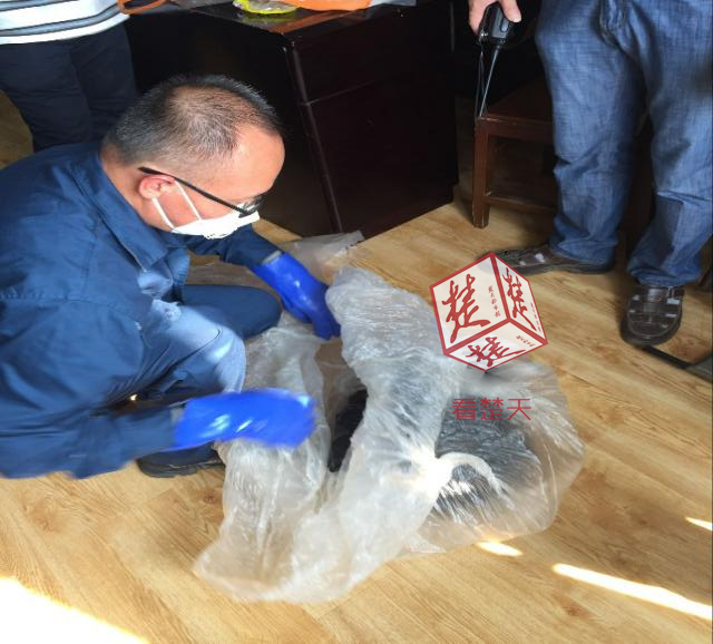 ���ӱ���6����綾Σ��Ʒ17�� ���������������