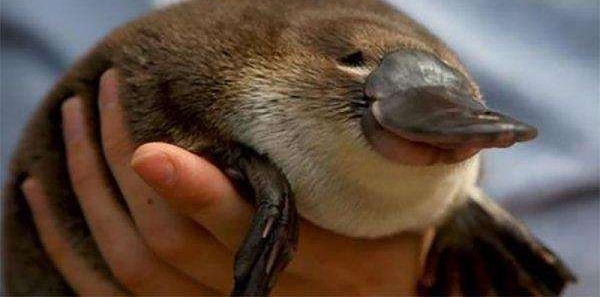 ����ʮ���綾�������һ��ҧ������������������������������