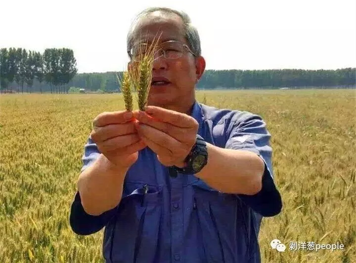 ����ձ����˾��������й�����Ϊ����Ƭ����ũ��