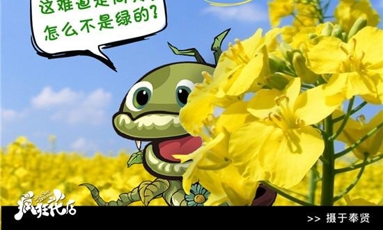 򡱵½ħ ־硶񻨵꡷ܿƱ