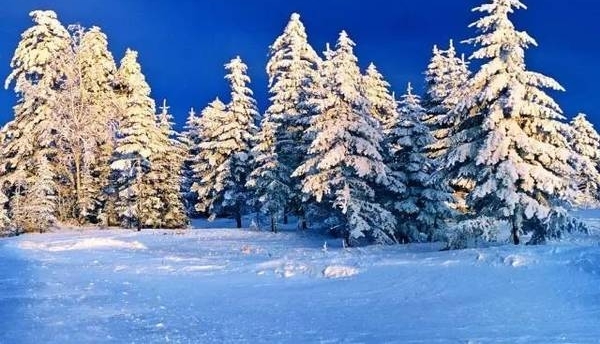 �ذ�������ʾ����������ú�������2�У��쿴���������