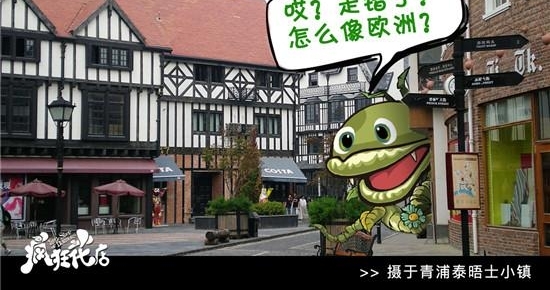 򡱵½ħ ־硶񻨵꡷ܿƱ